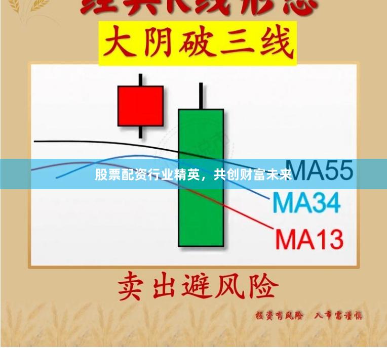 股票配资行业精英，共创财富未来