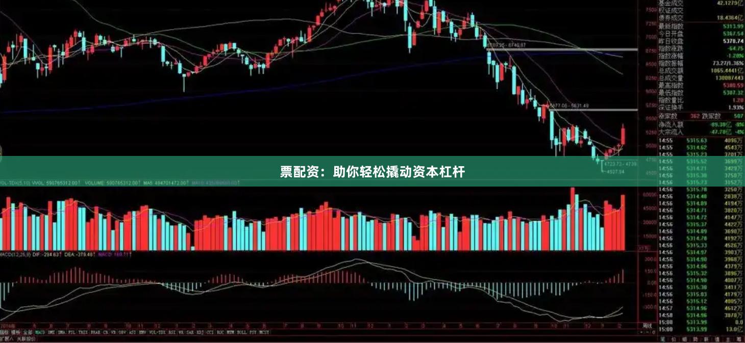 票配资：助你轻松撬动资本杠杆